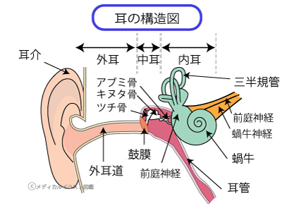 耳の病気と症状 中耳炎など 大阪和泉市の老木医院