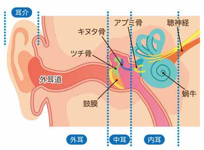 耳から出血するのは何が原因？