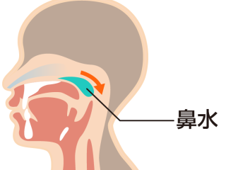 鼻水 後ろ に 流れる