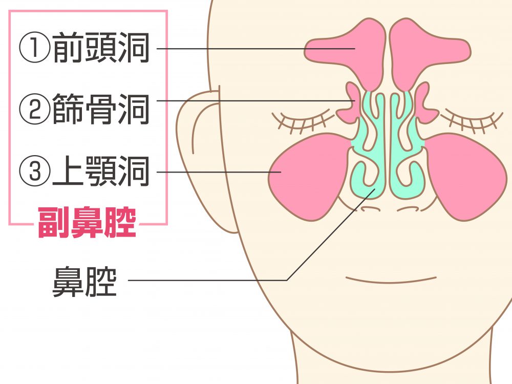 耳鼻科医が教える 鼻づまりの原因 治療 自宅でできる解消法 耳鼻科医が教える 鼻づまりの原因 治療 自宅でできる解消法