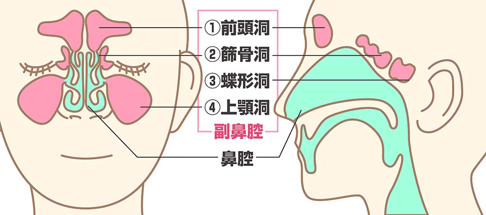 鼻水 鼻 詰まり