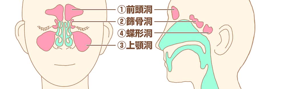 副 鼻腔 炎 治し 方