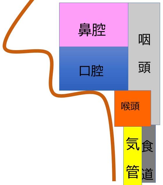 感じ 喉 に た 物 詰まっ が のどがつまる・食べ物が下がっていかない